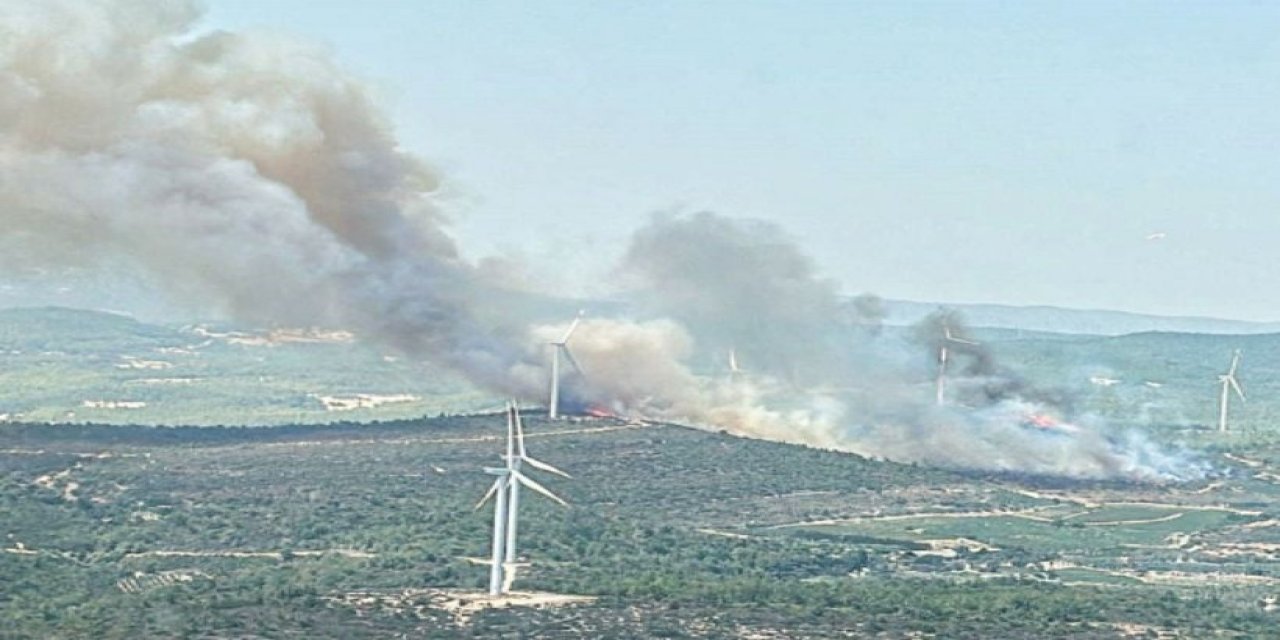 İzmir Urla'da orman yangını: