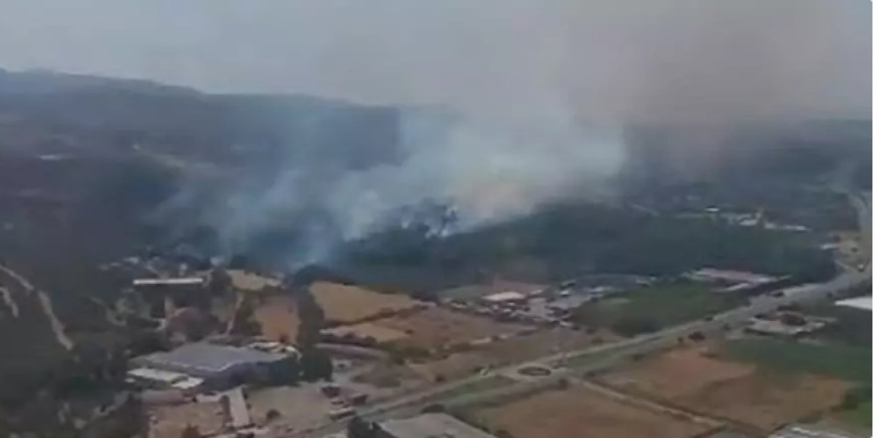 İzmir'de orman yangını