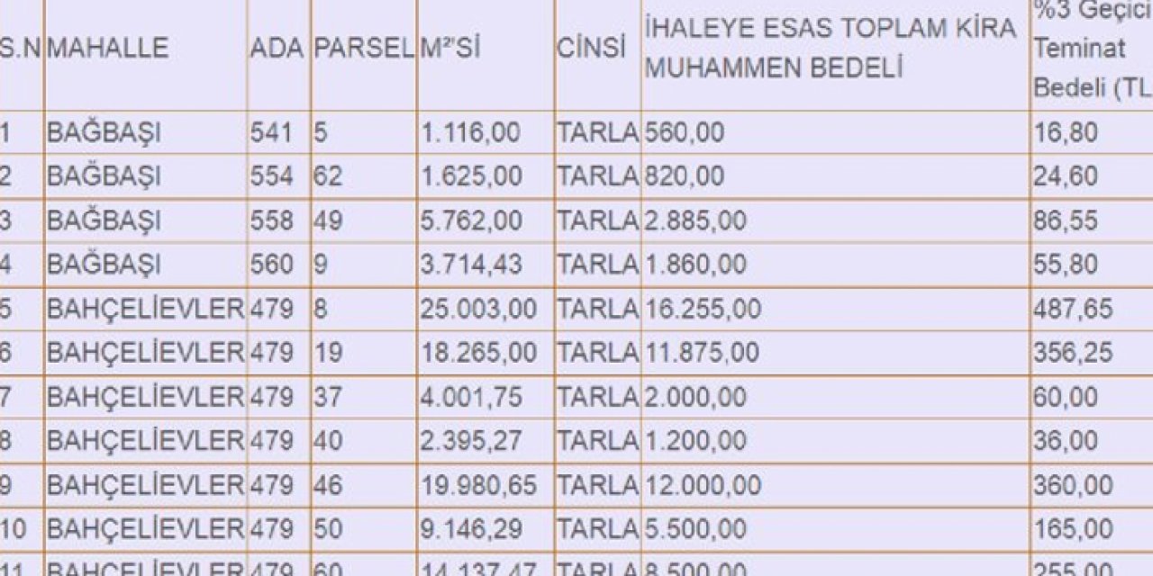 Kırşehir Belediyesi mülkiyetindeki tarlaları uygun fiyata kiraya veriyor