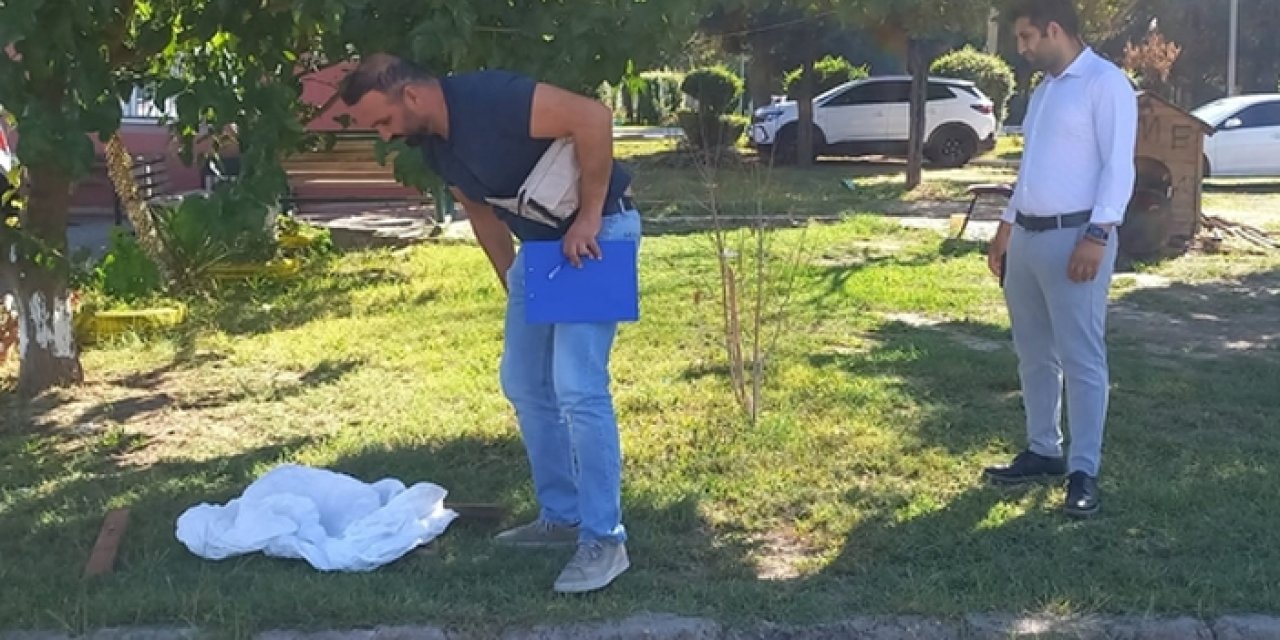 Manisa’da kedi vahşeti: Bacakları kesilmiş halde buldular