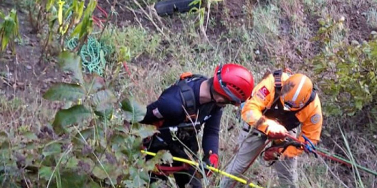 Artvin'de yoldan çıkarak yuvarlanan otomobilin sürücüsü öldü