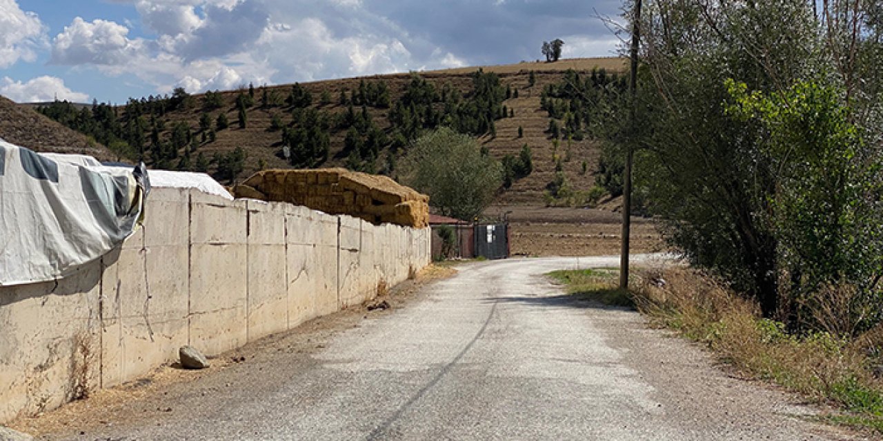 Kaza kurşunu can aldı