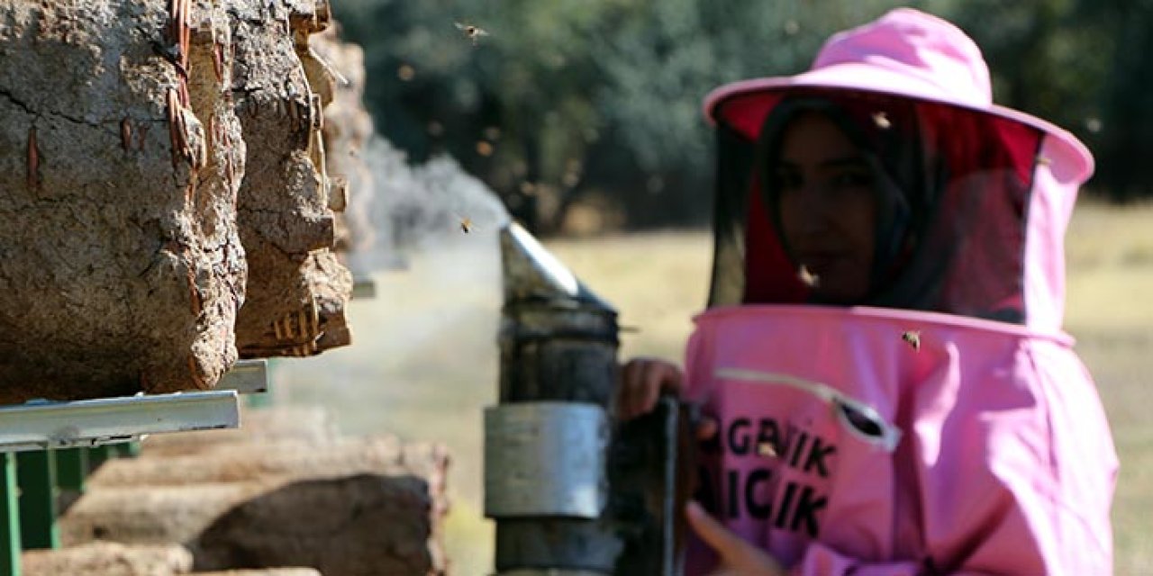 Kadın arıcıların ürettiği doğal kara kovan balı hasadı başladı