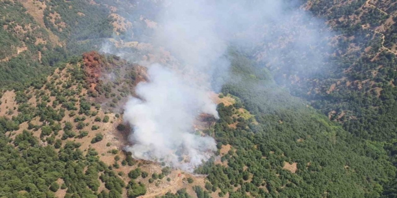 Manisa Alaşehir'de orman yangını