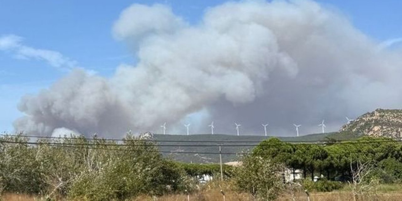 İzmir’de feci yangın! Çöplükten ormana sıçradı