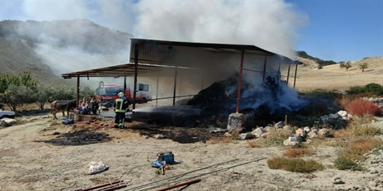 Manisa'da ahır yangını; 7 büyükbaş öldü