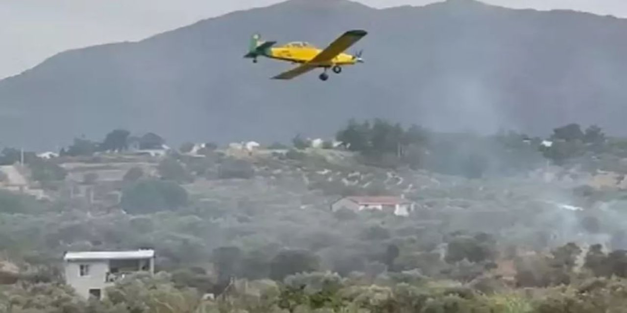 İzmir Kemalpaşa'da Zeytinlikte Yangın Kontrol Altına Alındı