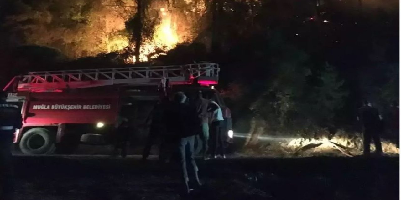 Muğla'da Orman Yangını Başladı