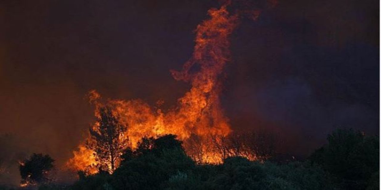 İzmir Gaziemir'de Orman Yangını Sönmüyor