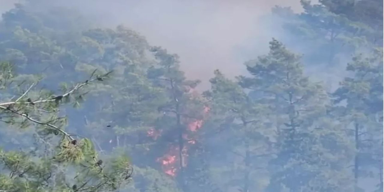 Antalya'da Orman Yangını