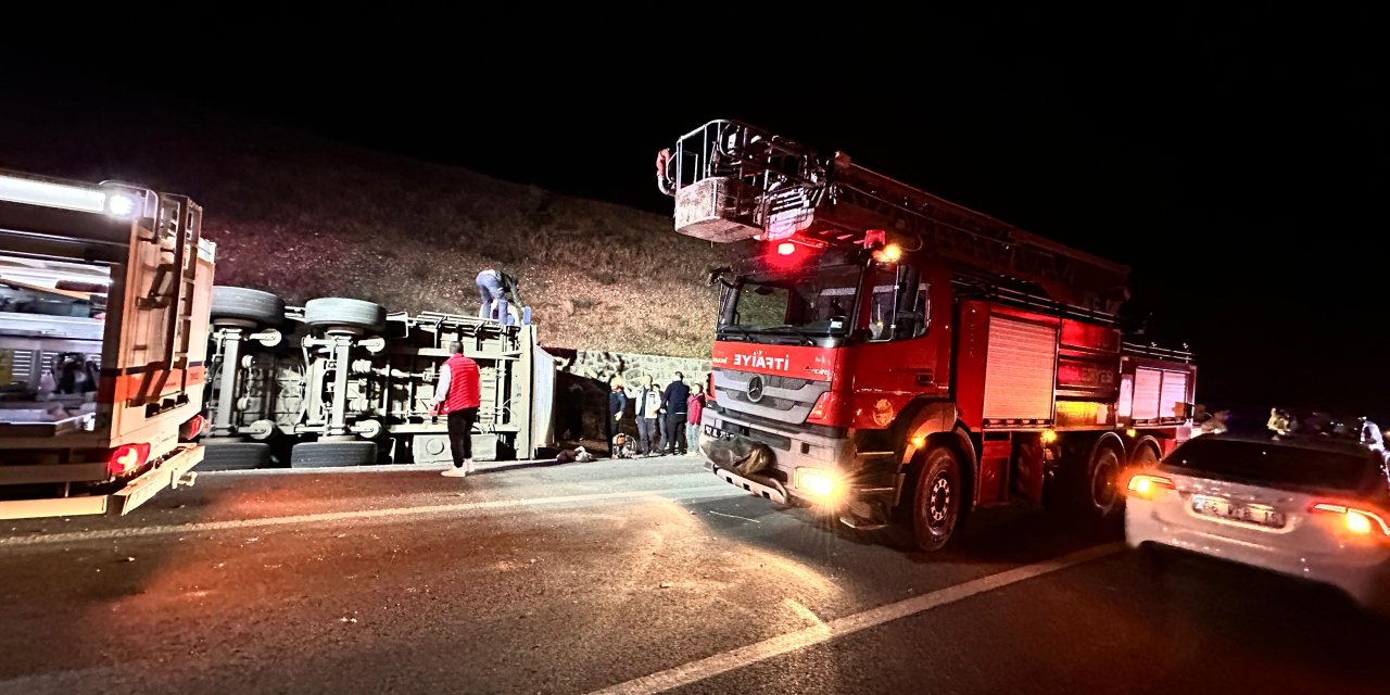 Tunceli'de, devrilen TIR'daki 50 küçükbaş öldü