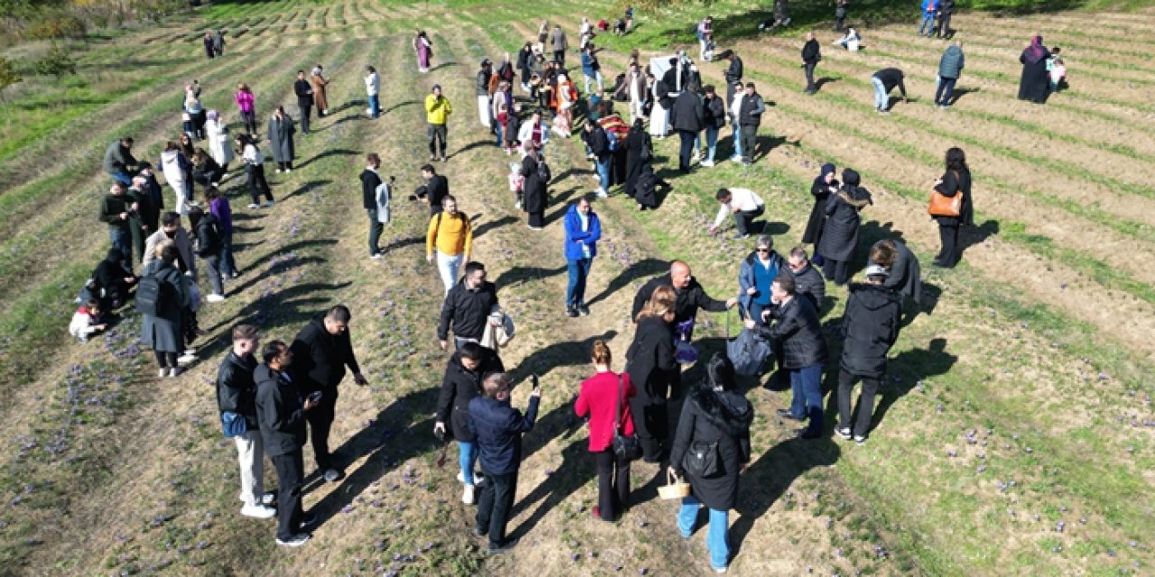 Safranbolu'da hasat festivali