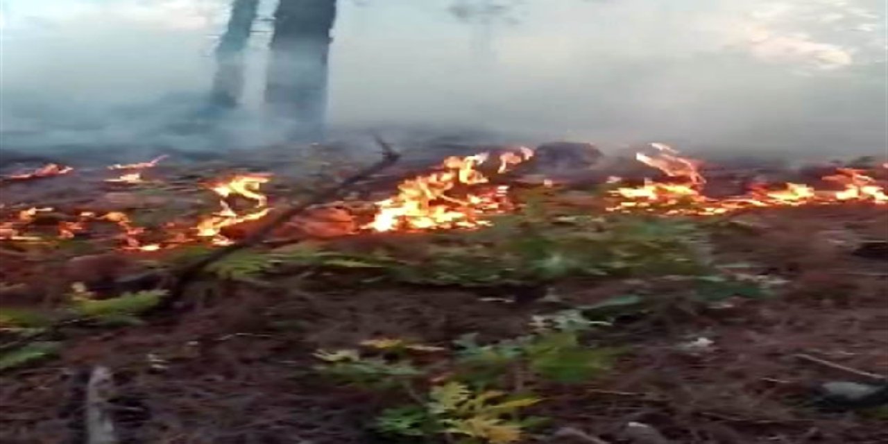 Kahramanmaraş’ta orman yangını 3 gündür devam ediyor