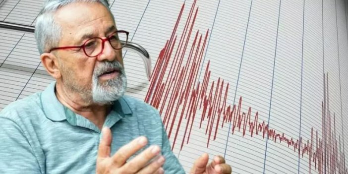 Prof. Dr. Naci Görür: Deprem dirençli Adana'yı kurun