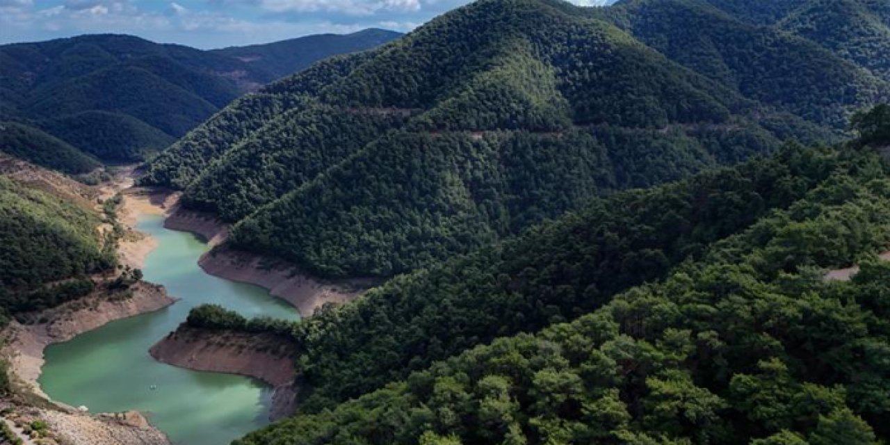 Doğaya dev yatırım: 16 bin hektarlık alana yeni ormanlar geliyor