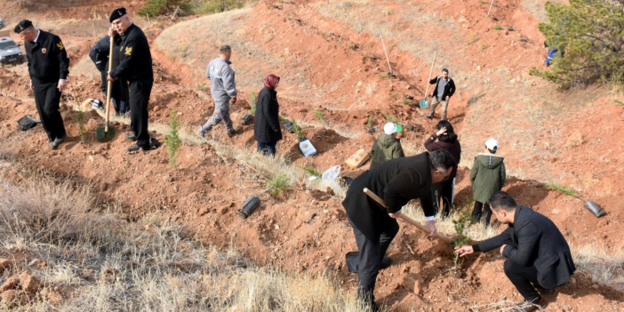 İç Anadolu’da "Milli Ağaçlandırma Günü" seferberliği