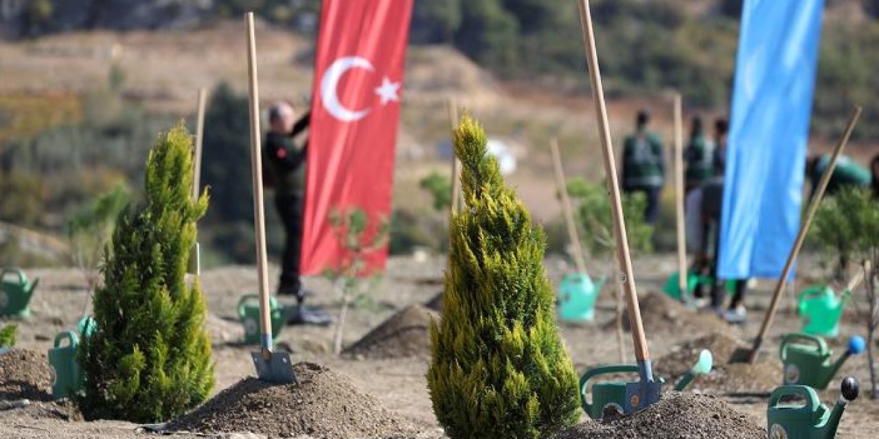 Dev projelerle 100 milyona yakın ağaç toprakla buluştu