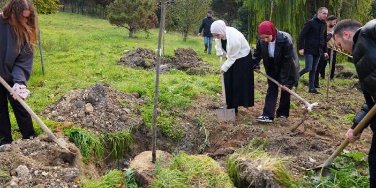 Öğrencilerden geleceğe nefes: Cerrahpaşa'da 1071 fidan dikildi