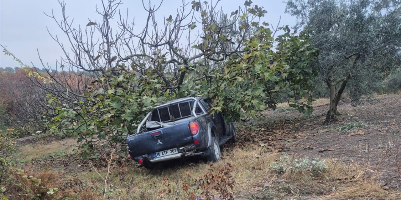 Mevsimlik işçileri taşıyan kamyonet ağaca çarptı: 1 ölü, 7 yaralandı