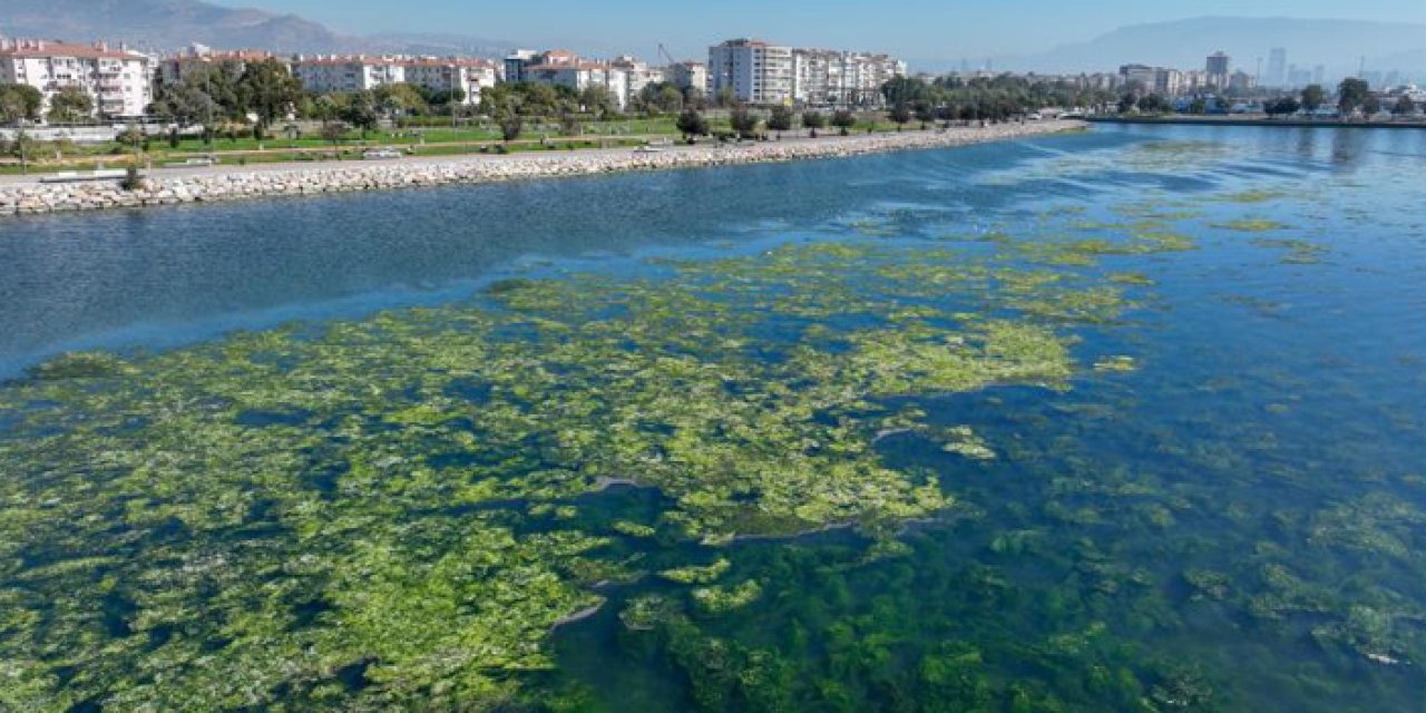 Çevre Bakanlığı’ndan İzmir Körfezi İçin "İzmir İçin Nefes" projesi