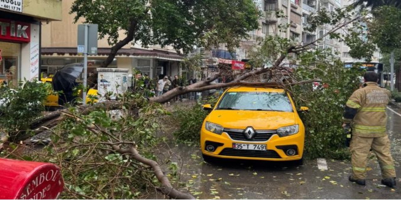 İzmir Mithat Paşa Caddesi'nde taksinin üstüne ağaç devrildi!