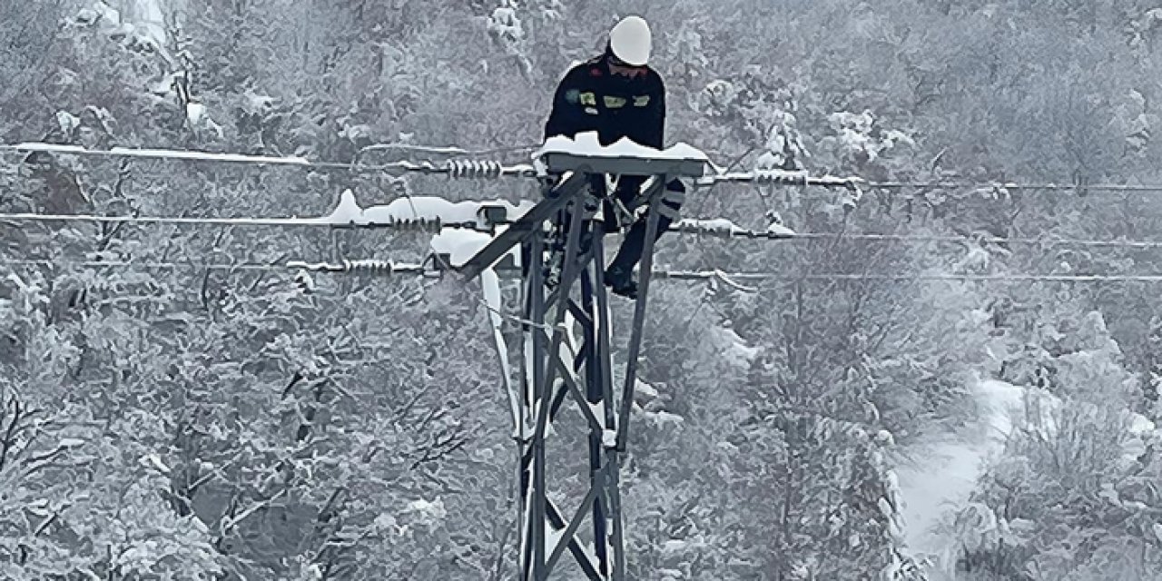 Karadeniz Bölgesi'nde elektriğe kar engeli