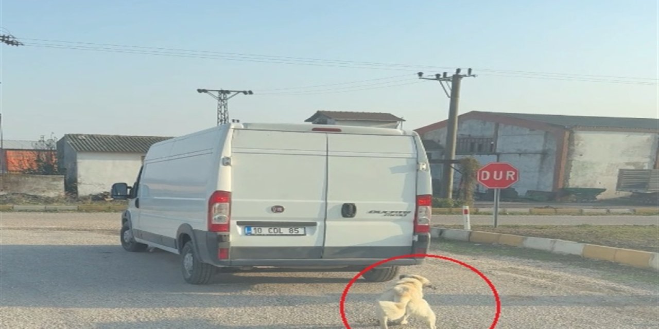 Köpeği minibüsün arkasına iple bağlayıp çekti