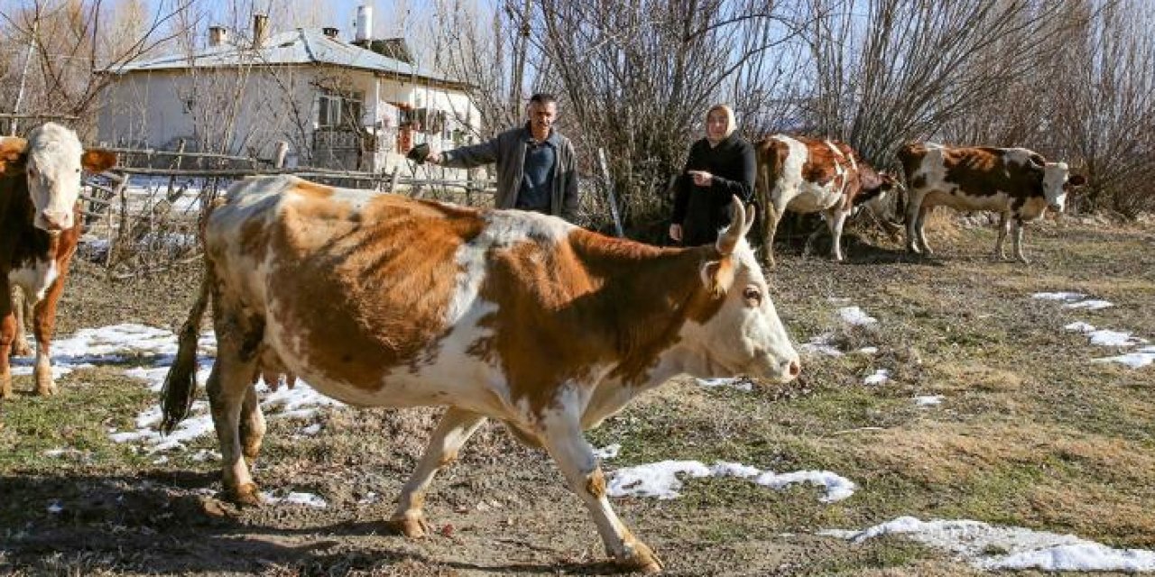 İŞKUR engelleri hibe destekleriyle aşıyor