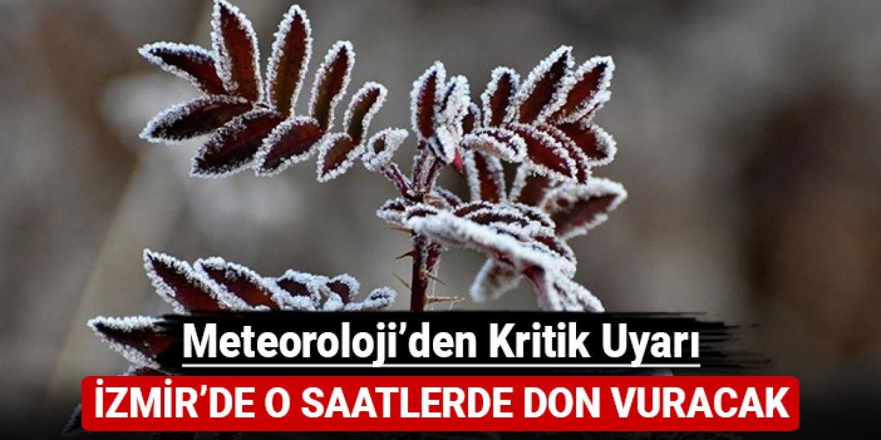 Meteoroloji'den kritik uyarı: İzmir'de o saatlerde don vuracak!