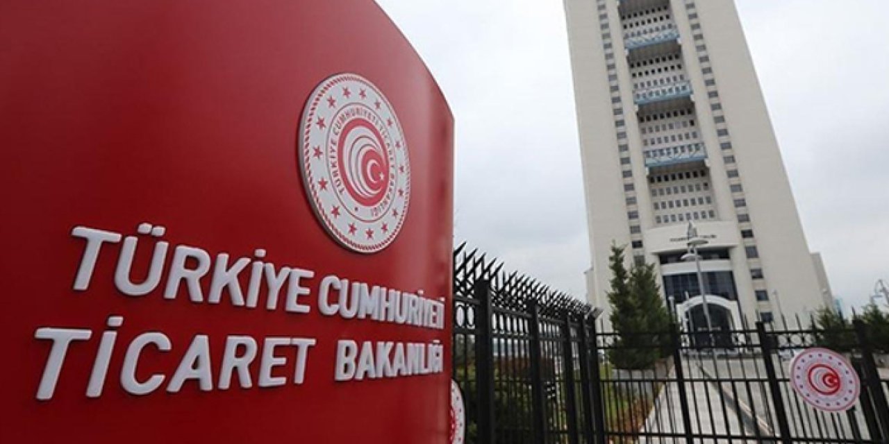 Dış ticaret sermaye şirketi statüsü artıyor