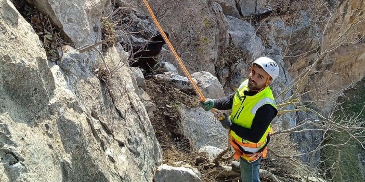 Siirt’te çoban TikTok izlerken keçiler kayalıklarda mahsur kaldı