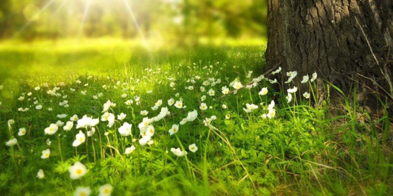 Manisa’ya Müjde: Yeni Sosyal Alan 23 Aralık’ta Hizmette!