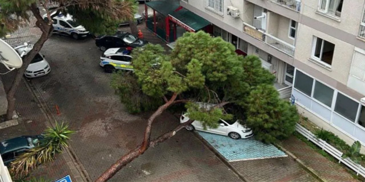 İzmir'de fırtına felakete yol açtı! ağaç otomobilin üstüne devrildi