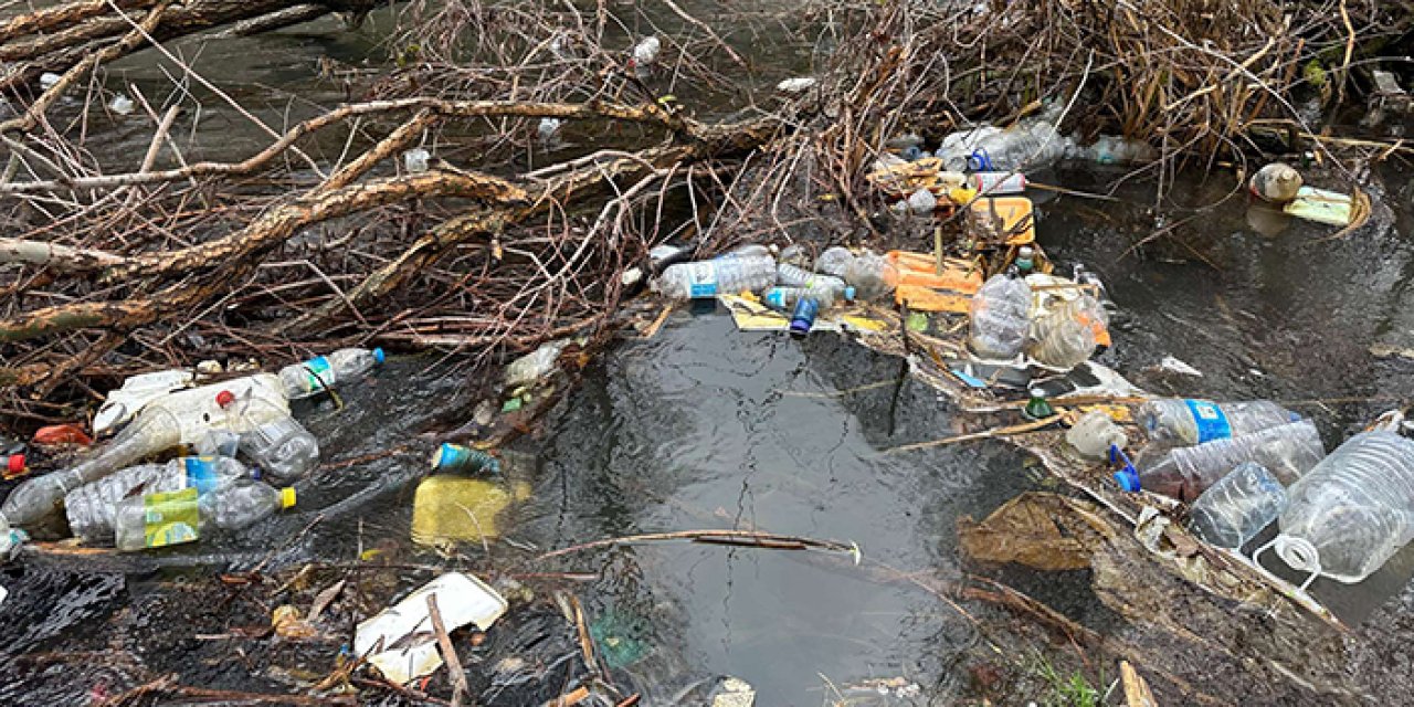 Pazar Deresi çöple doldu: Vatandaş önlem istiyor