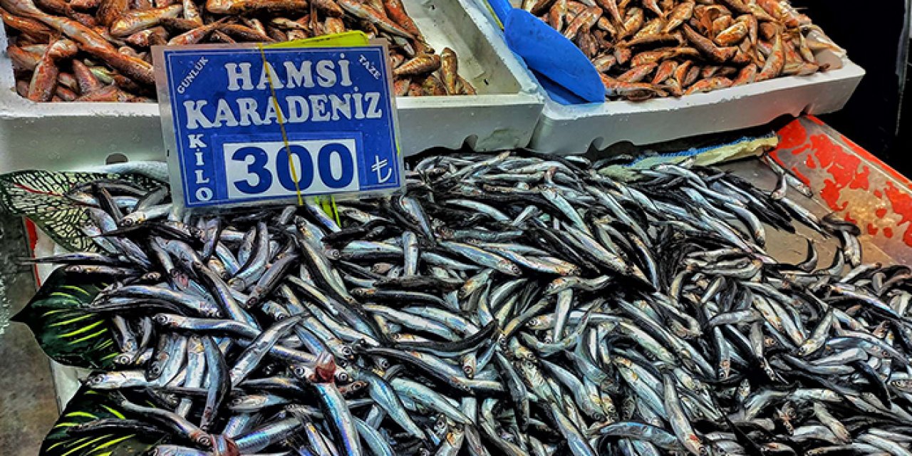 Ankara Hali'nde hamsinin kilosu 300 TL'ye dayandı