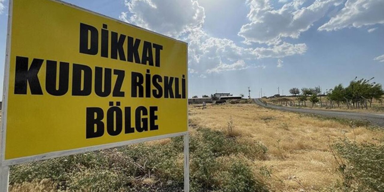 Adıyaman’da kuduz alarmı: 7 yaşındaki çocuğa saldıran köpek kuduz çıktı