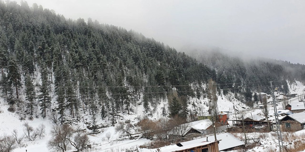 Sarıkamış ve Ardahan’da kar yağışı etkili oluyor