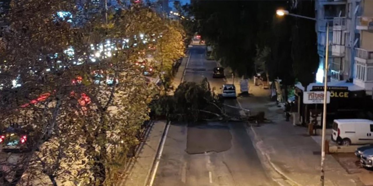 İzmir’de Şok Olay! Devrilen Ağaç Trafiği Felç Etti