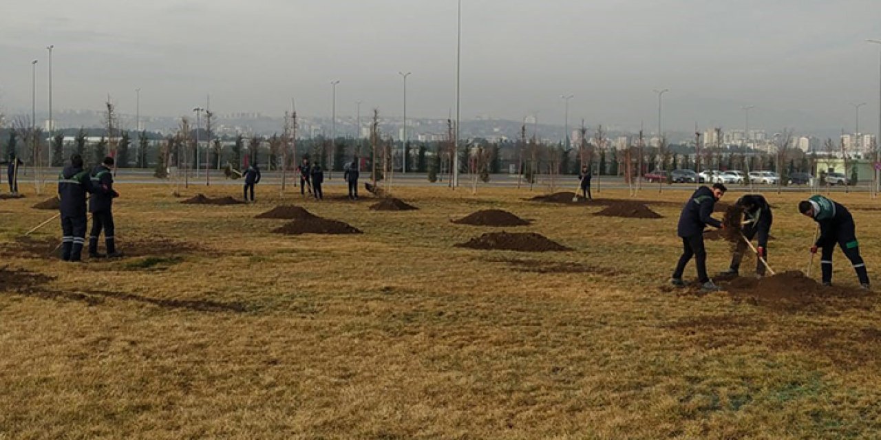 Kayseri’de bahar hazırlıkları başladı