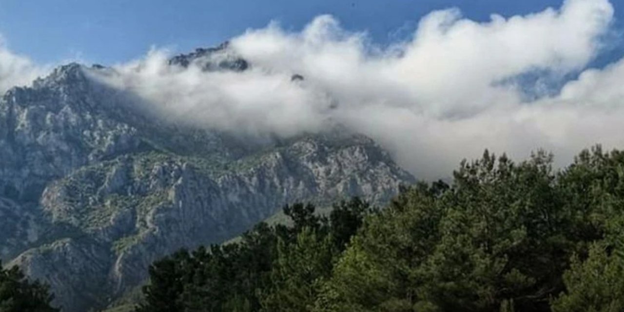 Manisa’da endişelendiren görüntü! Kış ortasında…