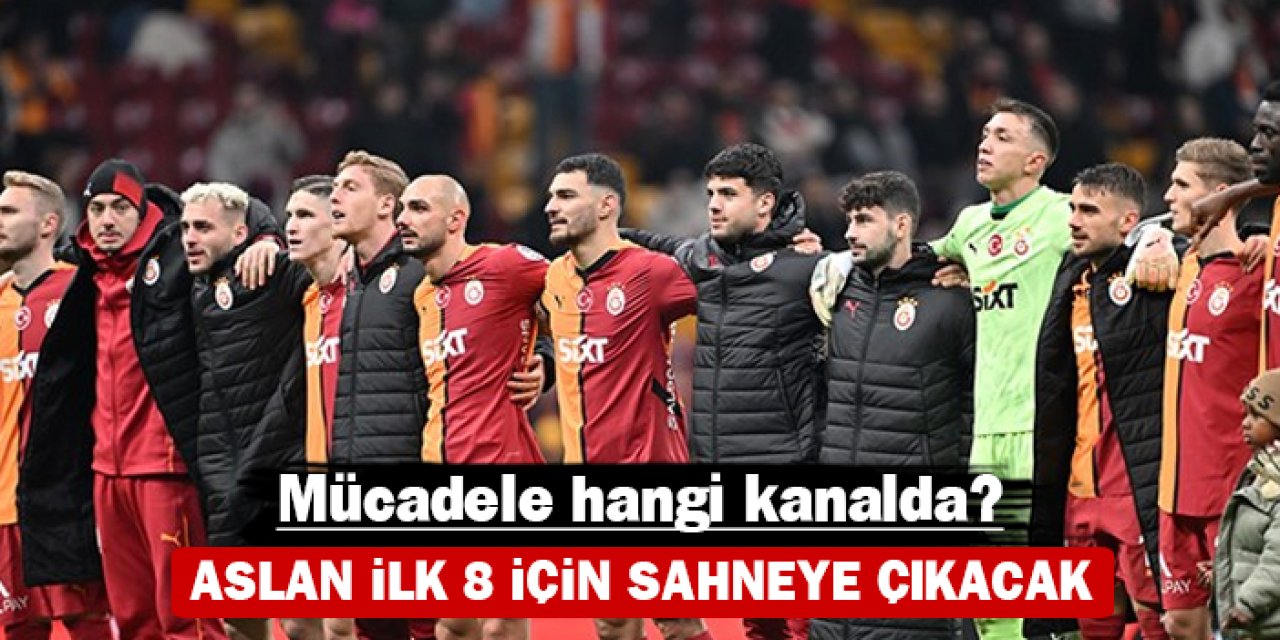 Aslan ilk 8 için sahneye çıkacak: Mücadele hangi kanalda?