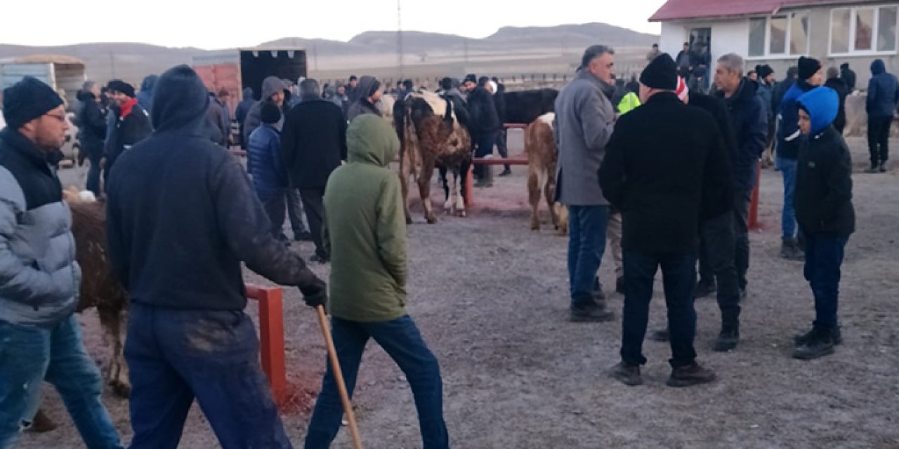 Sivas'ta hayvan pazarı yeniden hizmete açıldı