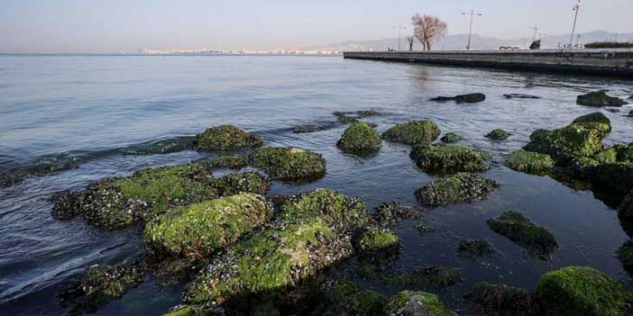 Bayraklı’dan Sonra Bostanlı! İzmir’de Deniz Çekilmeleri Devam Ediyor