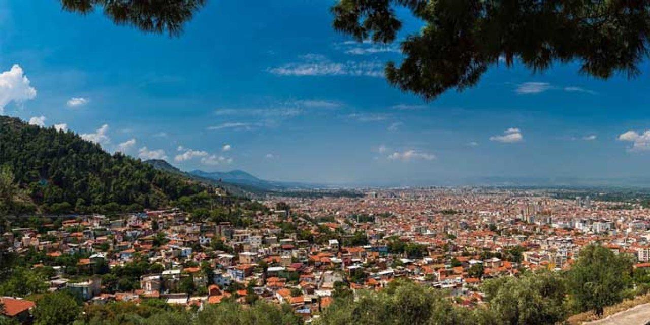 Manisa’da 30 Yıl Sonra Bir İlk! Deve Güreşleri Yeniden Başlıyor