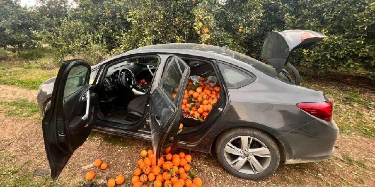 Mersin’de portakal hırsızı suçüstü yakalandı