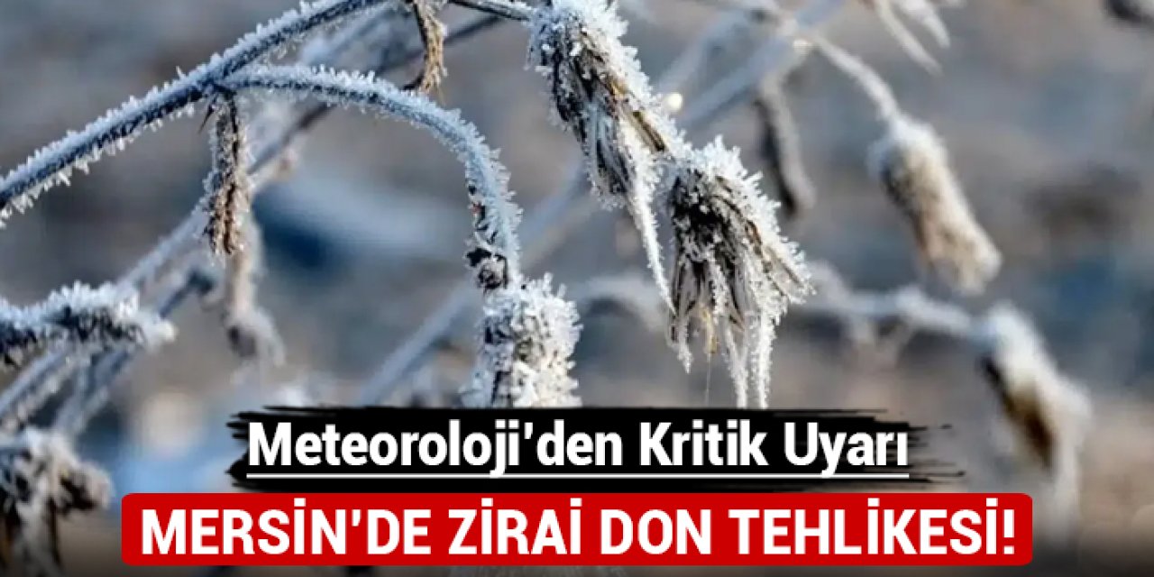 Mersin'de zirai don tehlikesi: Meteoroloji'den kritik uyarı!