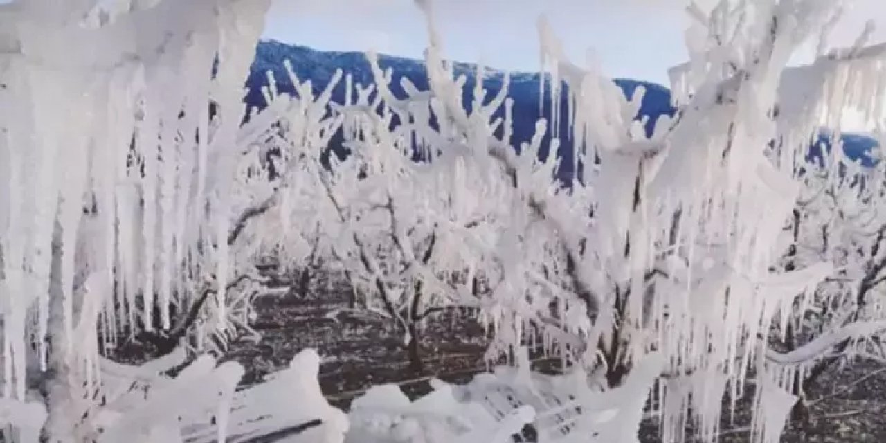 Amasya'da dondurucu soğuk