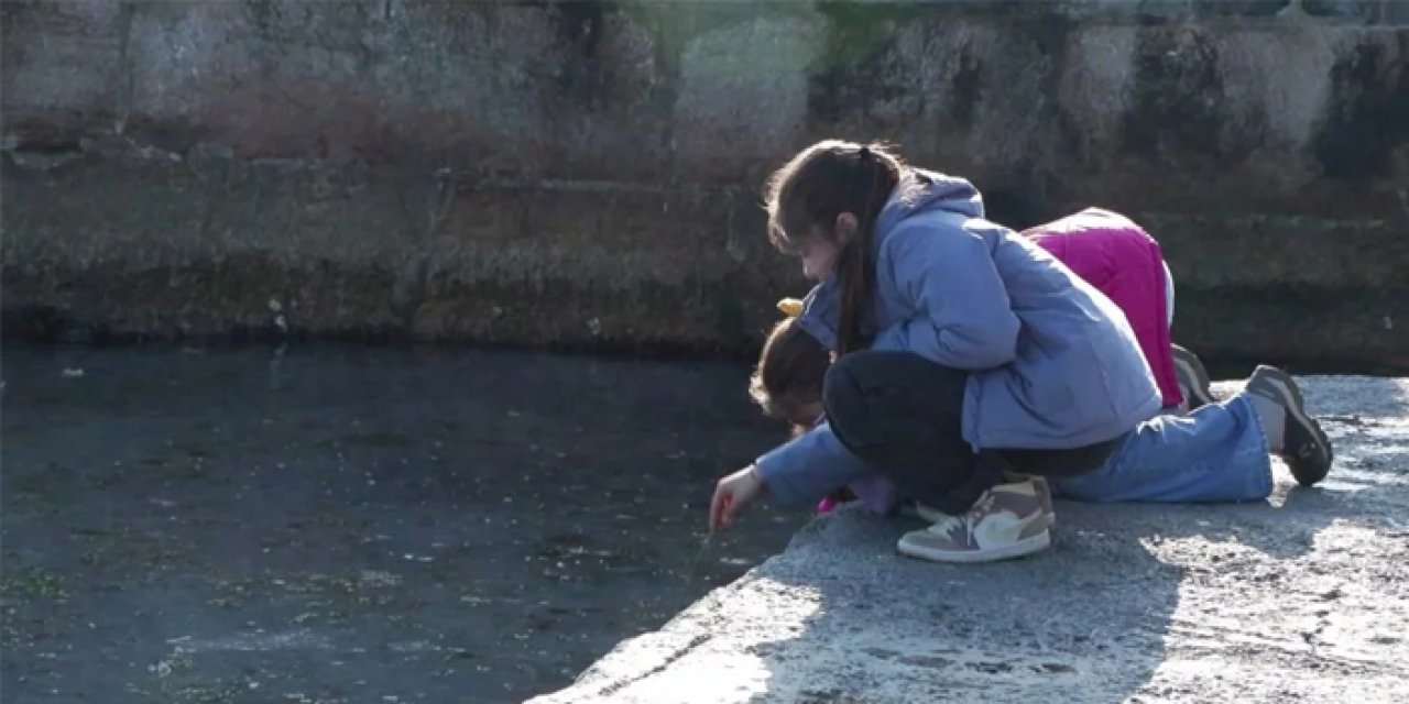 Marmara Denizi'nde müsilaj krizi