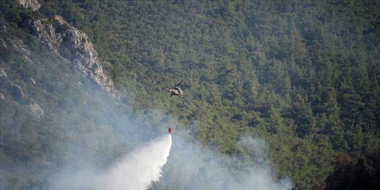 İzmir’de Orman Yangını Alarmı! Türkiye’nin En Riskli Şehirlerinden Biri Oldu