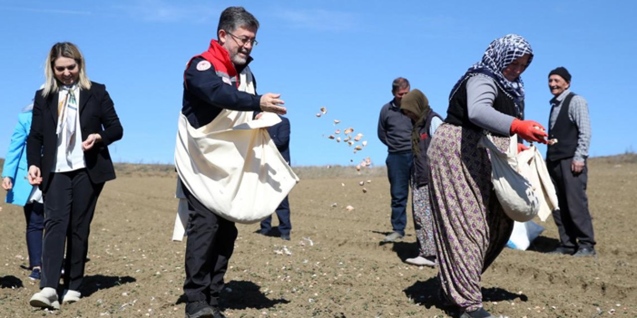 Bakan Yumaklı, elleriyle sarımsak ekti